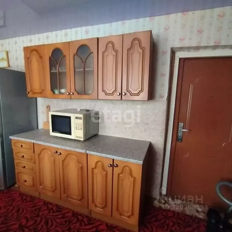 Дом в Тамбовская область, Мичуринский муниципальный округ, с. Стаево ... - Фото 2