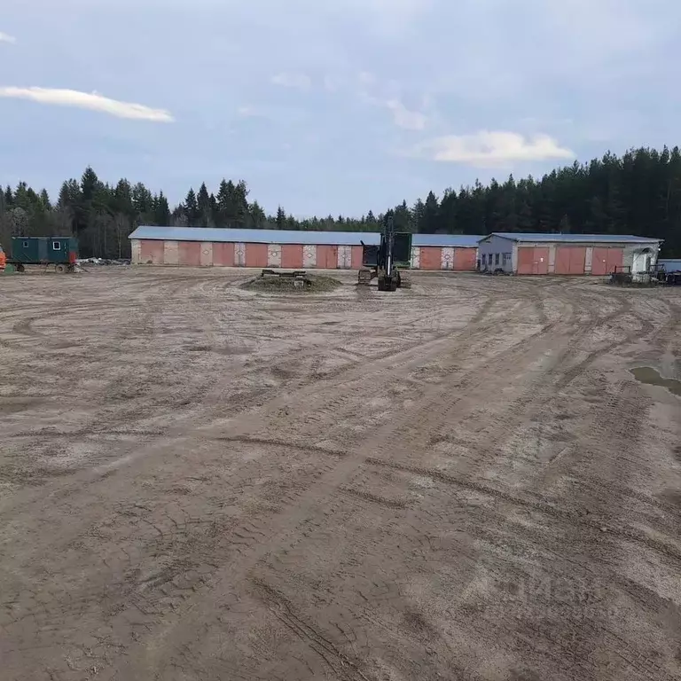 Помещение свободного назначения в Вологодская область, Верховажский ... - Фото 1