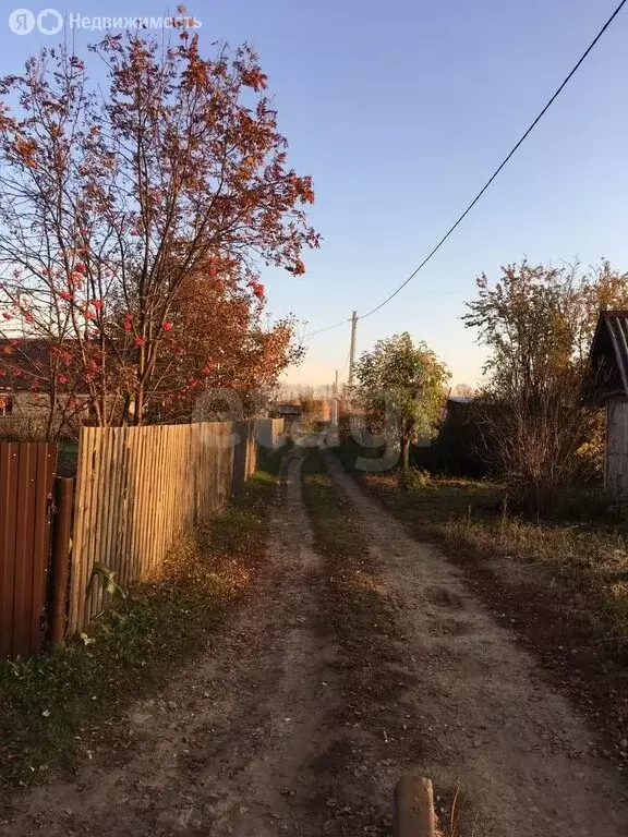 Участок в Искитимский район, Мичуринский сельсовет, СПК Восток-2, ... - Фото 0