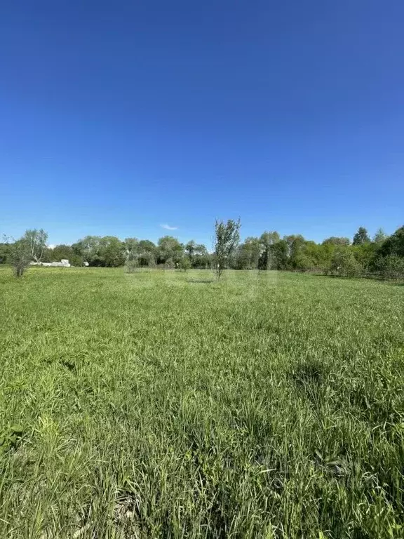 Участок в Калужская область, Малоярославецкий муниципальный округ, ... - Фото 1