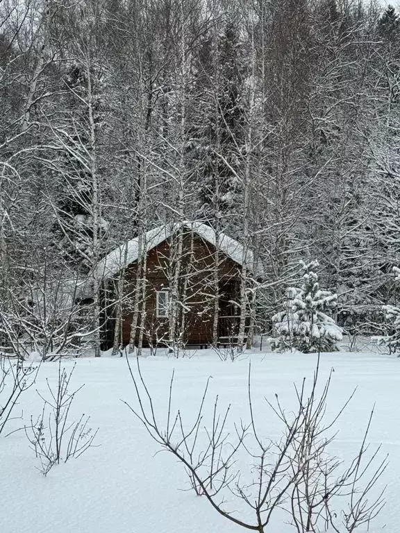 Дом в Московская область, Мытищи городской округ, д. Степаньково, ... - Фото 2
