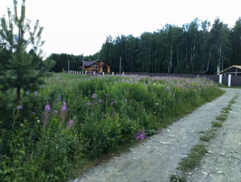 Участок в Свердловская область, Белоярский муниципальный округ, ... - Фото 2