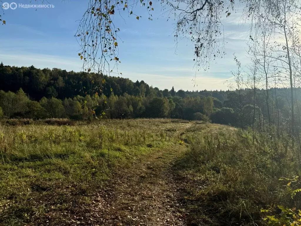 Участок в Москва, ТАО, Краснопахорский район, СНТСН Подолье, ... - Фото 2