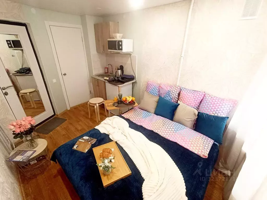 1-к кв. Татарстан, Казань Габдуллы Тукая ул., 9 (15.0 м) - Фото 1