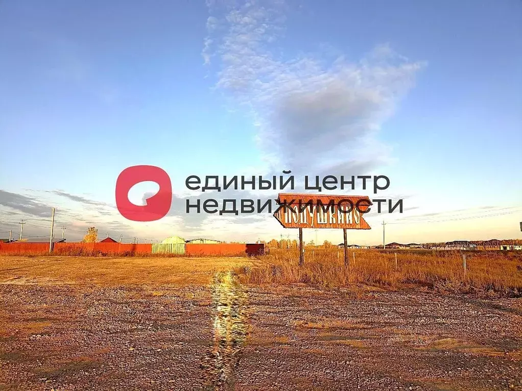 Участок в Тюменская область, Тюменский район, с. Каменка, Подушкино ... - Фото 1