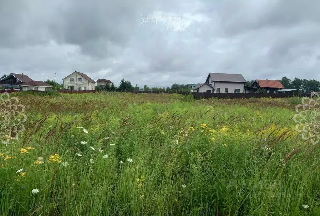 Участок в Калужская область, Тарусский район, Волковское с/пос, ... - Фото 0