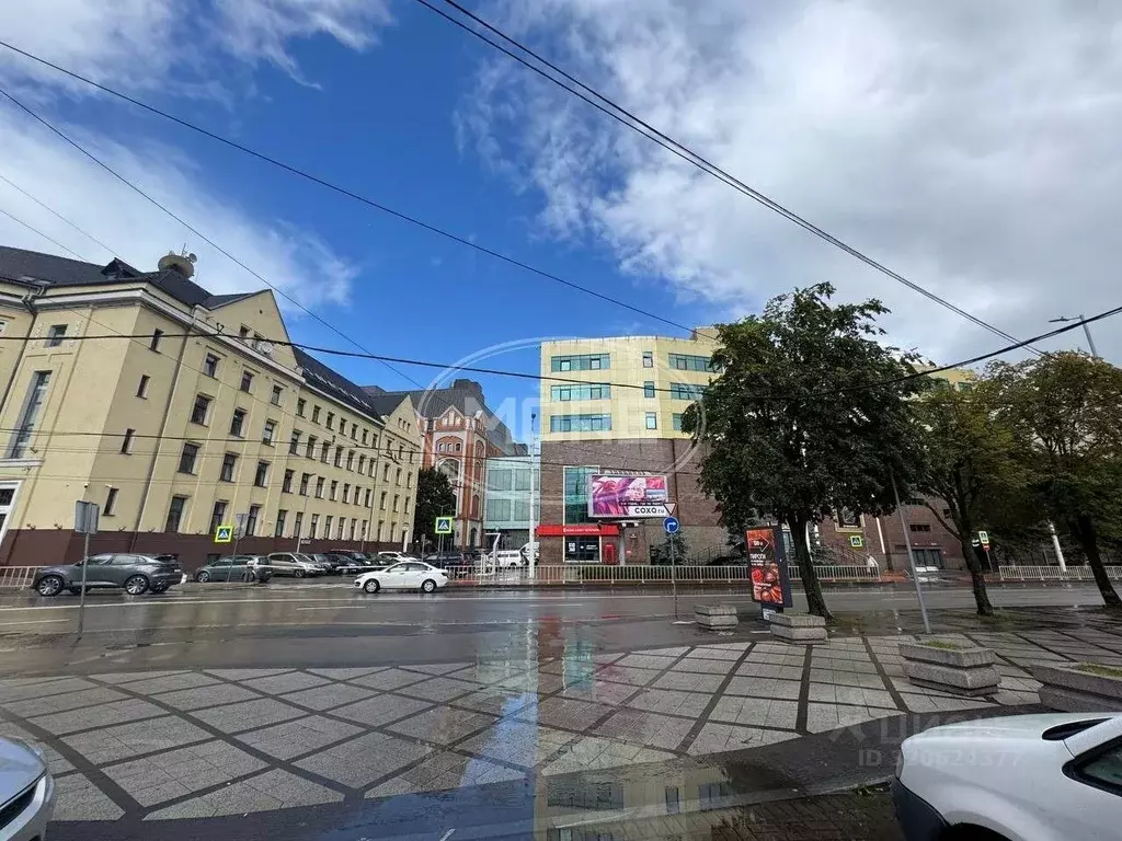 1-к кв. Калининградская область, Калининград Театральная ул., 29 (32.9 ... - Фото 0