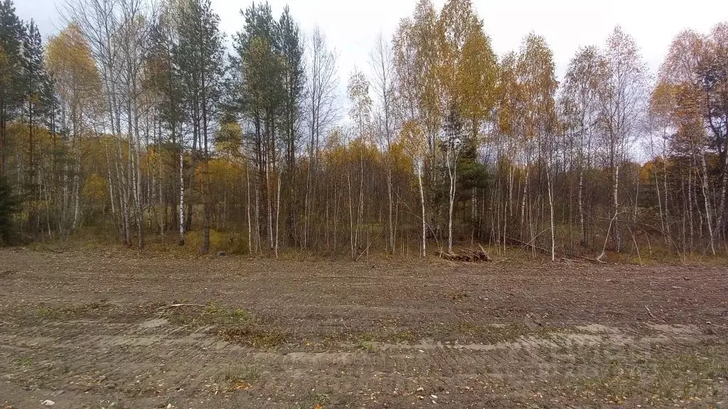 Участок в Владимирская область, Судогодский район, Головинское ... - Фото 1