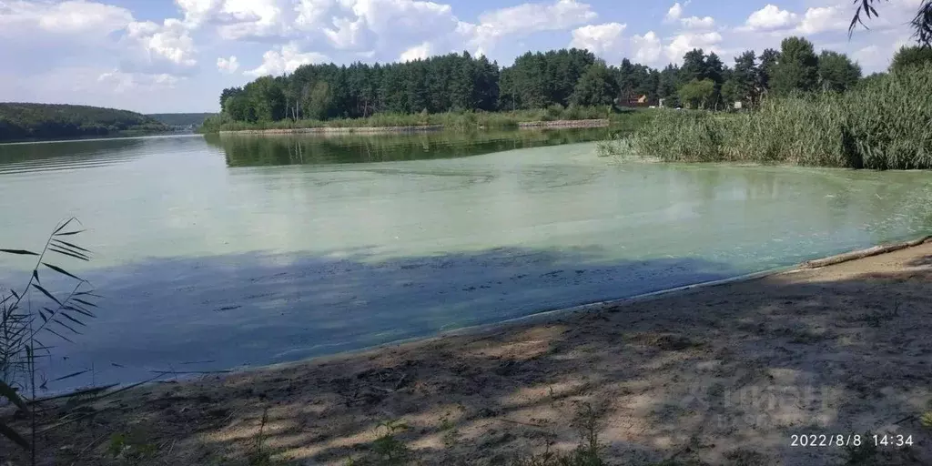 Коттедж в Белгородская область, Белгородский район, Поселок Разумное ... - Фото 1