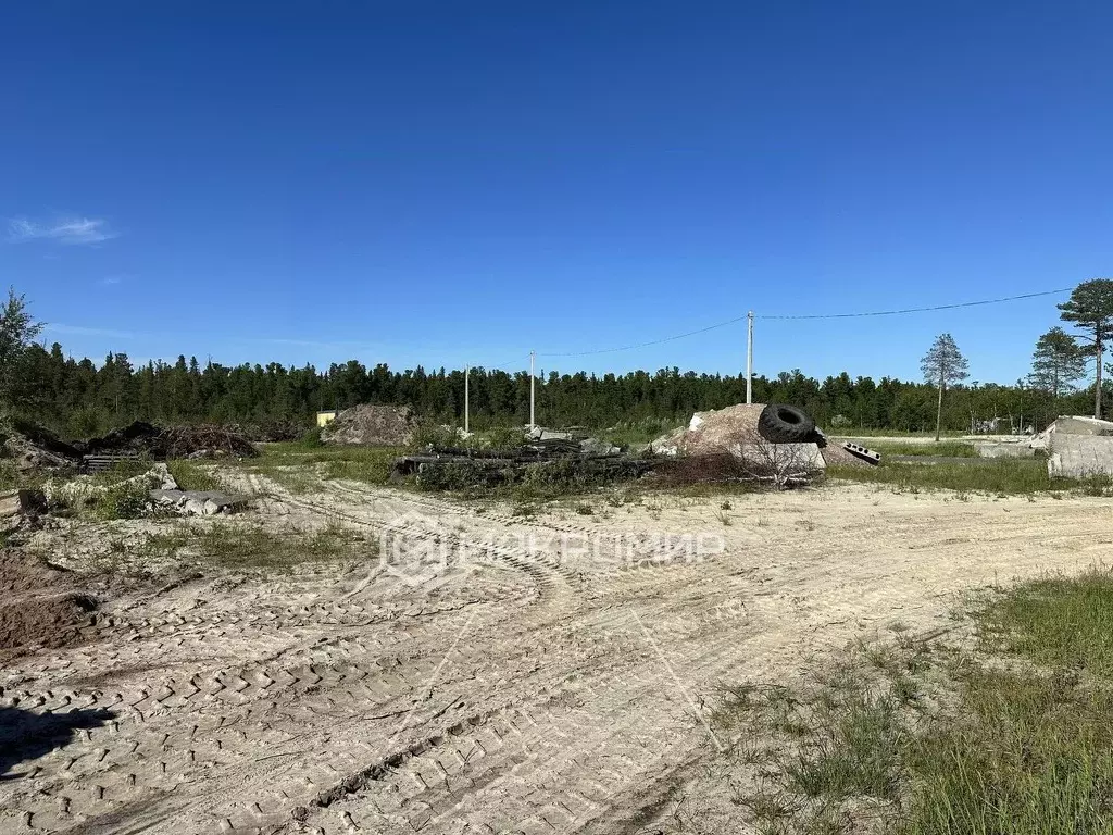 Участок в Ханты-Мансийский АО, Сургутский район, Федоровский городское ... - Фото 1