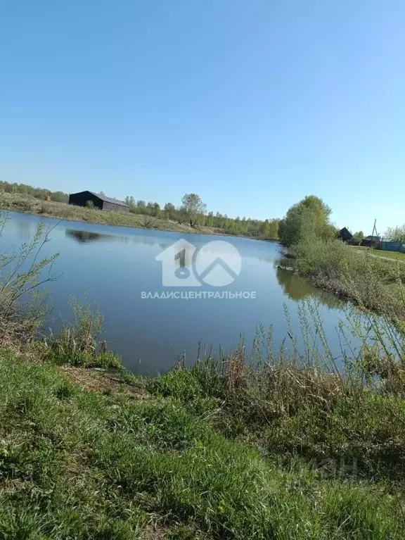 Участок в Новосибирская область, Мошковский район, пос. Красногорский ... - Фото 0