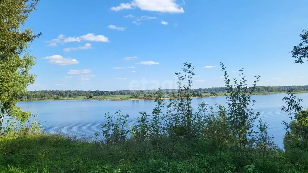Участок в Ярославская область, Мышкинский муниципальный округ, с. ... - Фото 1