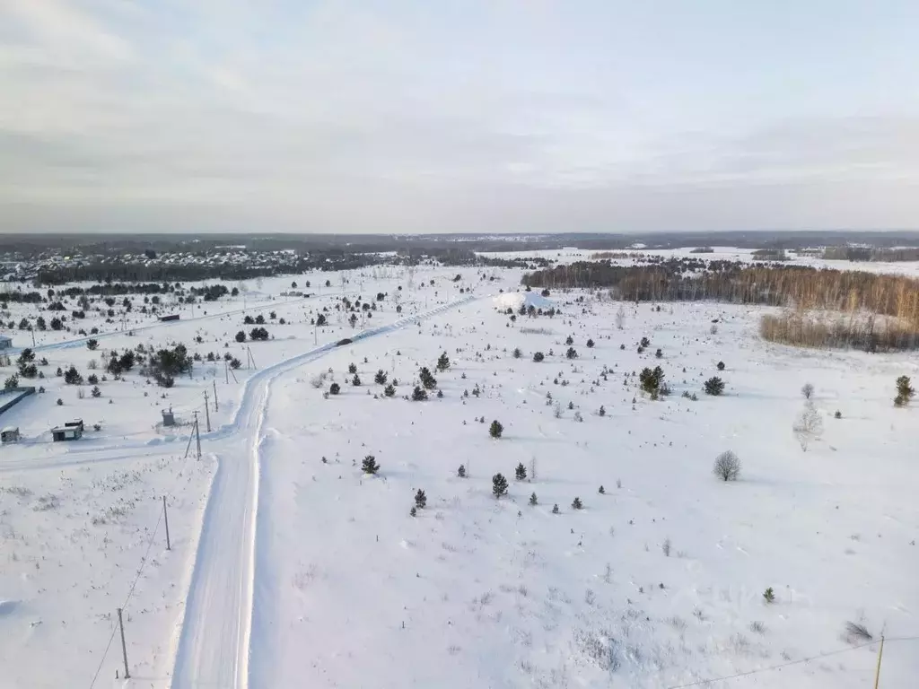 Участок в Томская область, Томский район, Деревня Петровский уч ул. ... - Фото 2