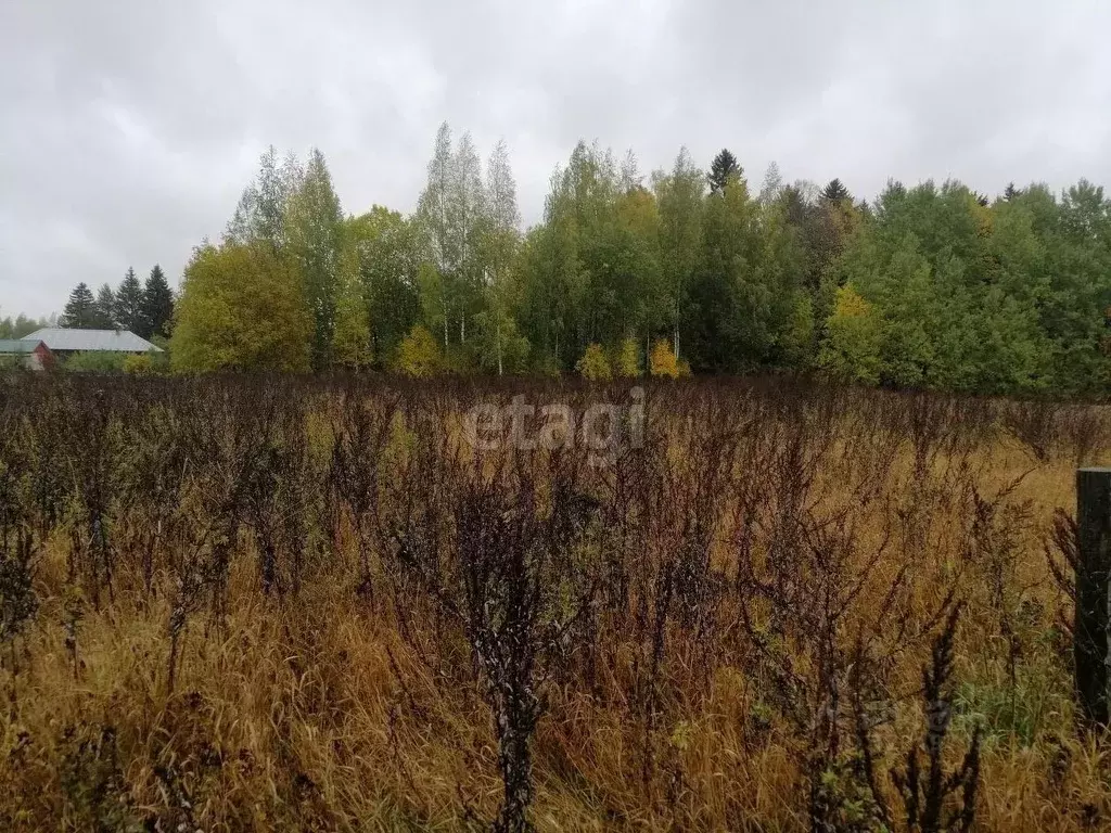 Участок в Вологодская область, д. Порошино  (12.13 сот.) - Фото 1