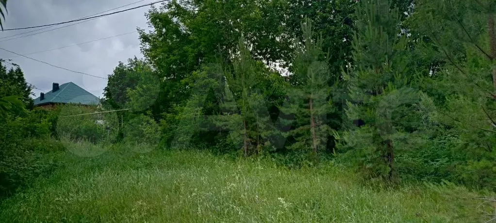 Участок 10 сот. (ИЖС) - Фото 1