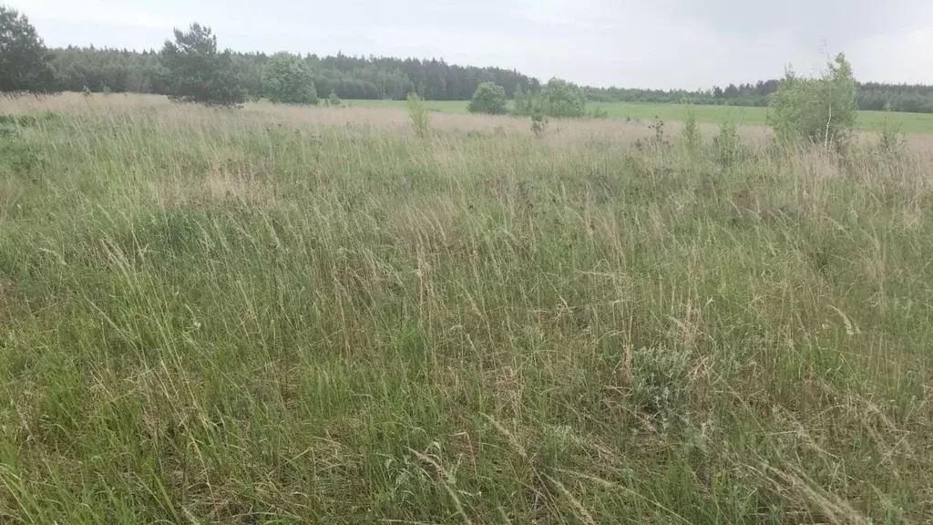 Участок в Московская область, Орехово-Зуевский городской округ, д. ... - Фото 1