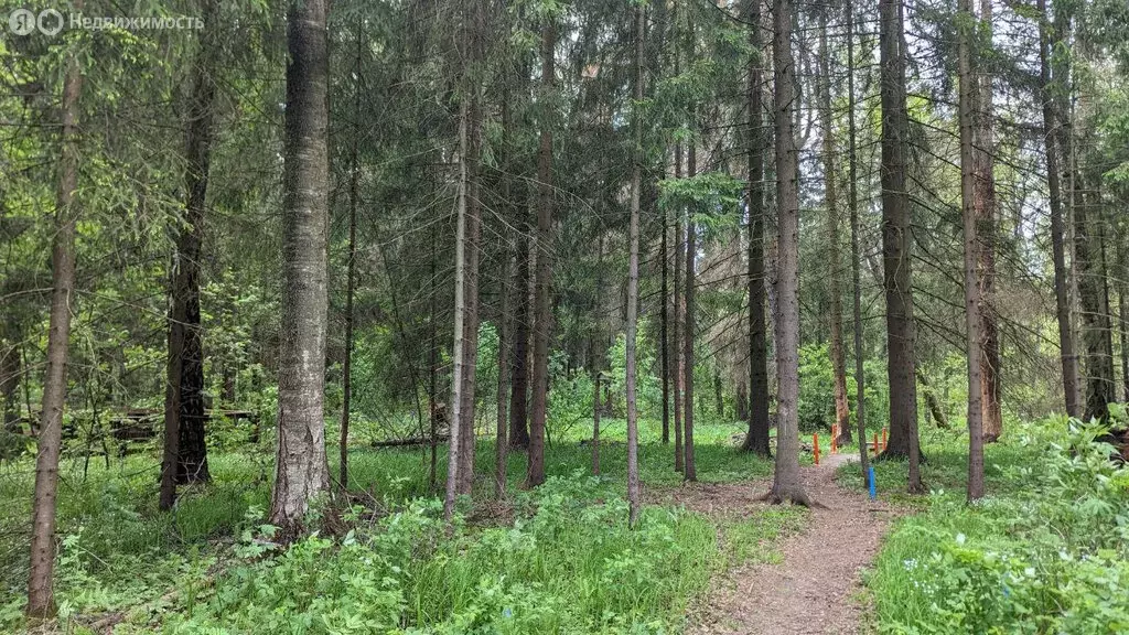 Участок в Московская область, городской округ Солнечногорск, КП ... - Фото 1