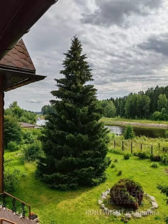 Участок в Ярославская область, Рыбинский муниципальный округ, д. ... - Фото 2