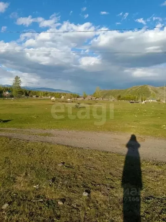Участок в Алтай, Усть-Коксинский район, с. Верх-Уймон Заречная ул., 15 ... - Фото 1