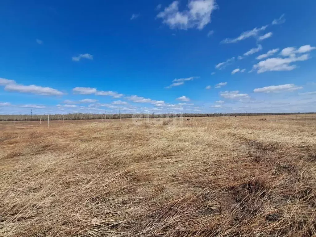 Участок в Алтайский край, Бийск ул. Нины Ширяевой (13.4 сот.) - Фото 0