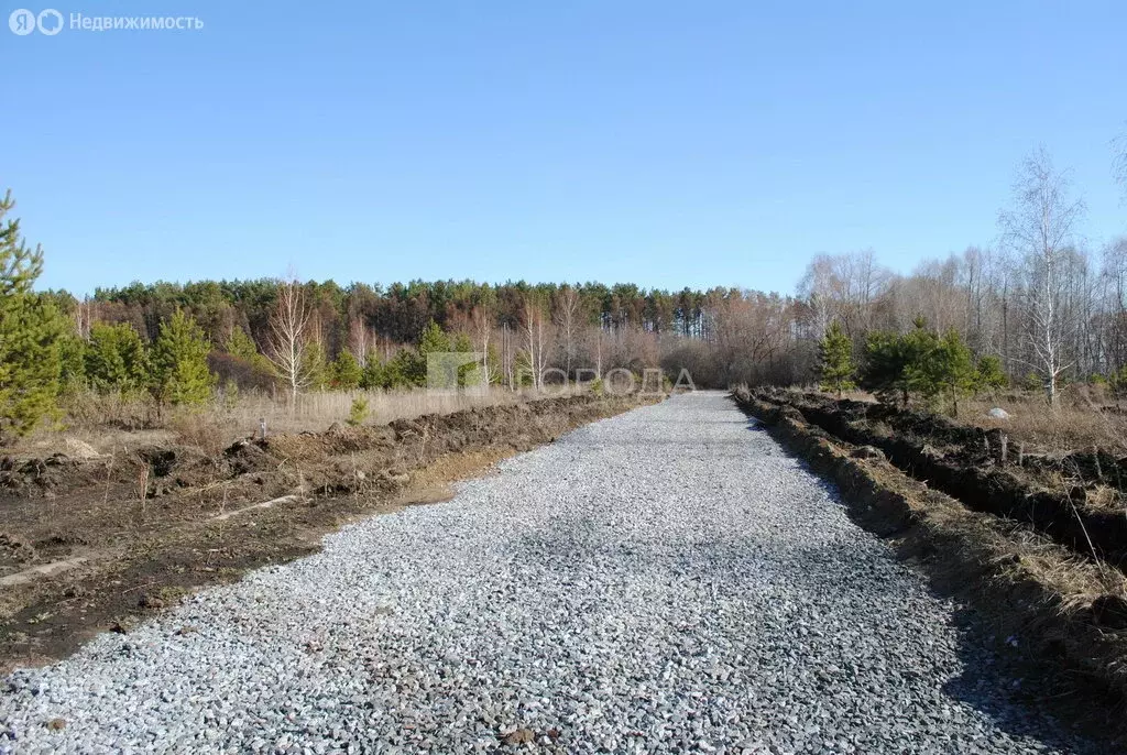Участок в Новосибирский район, Морской сельсовет, село Ленинское (6 м) - Фото 1