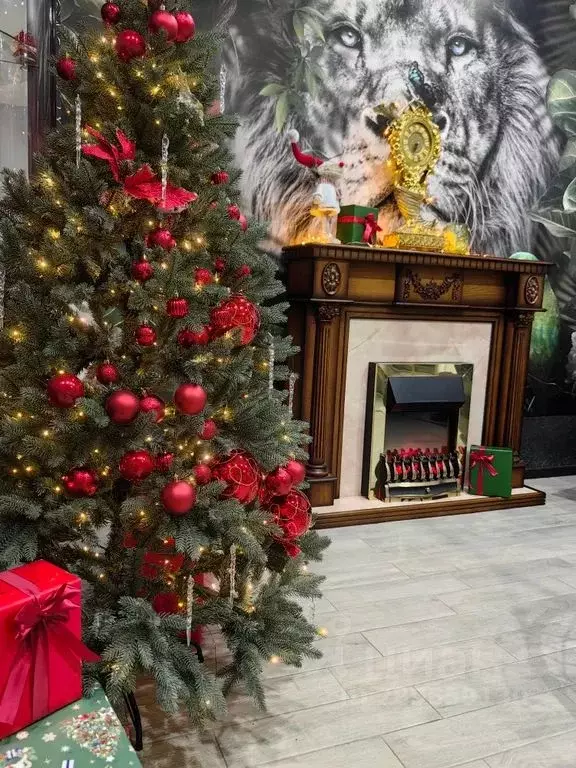 Дом в Краснодарский край, Анапа муниципальный округ, с. Витязево ул. ... - Фото 2