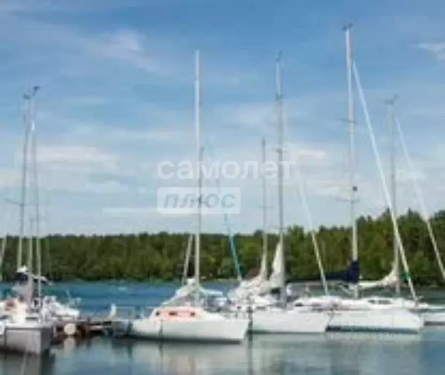 Участок в Челябинская область, Аргаяшский муниципальный округ, пос. ... - Фото 1