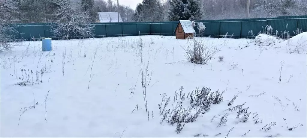 Участок в Владимирская область, Судогодский район, Головинское ... - Фото 1