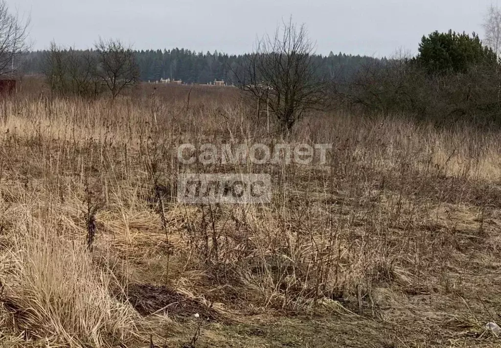 Участок в Москва № 45А кв-л, 13 (13.5 сот.) - Фото 2