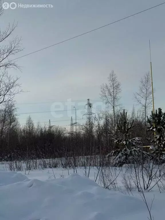 Участок в село Берёзовка, улица Гоголя (15 м) - Фото 1