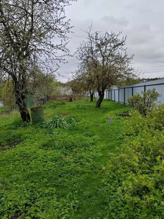 Дом в Московская область, Чехов муниципальный округ, с. Молоди ул. ... - Фото 0