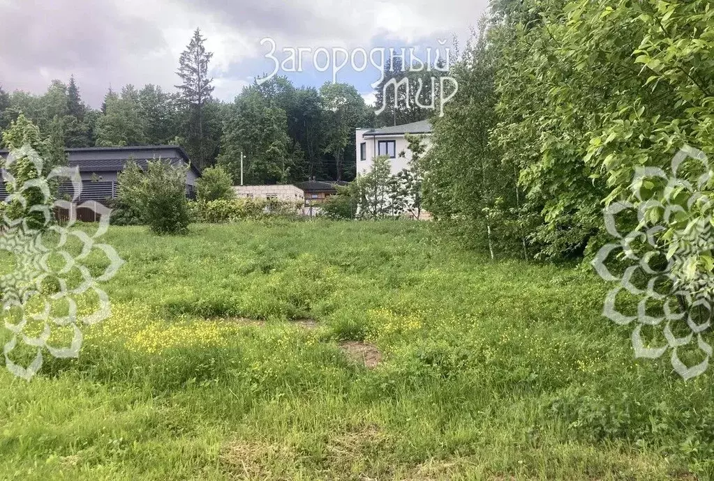 Участок в Московская область, Пушкинский городской округ, д. Мураново ... - Фото 2