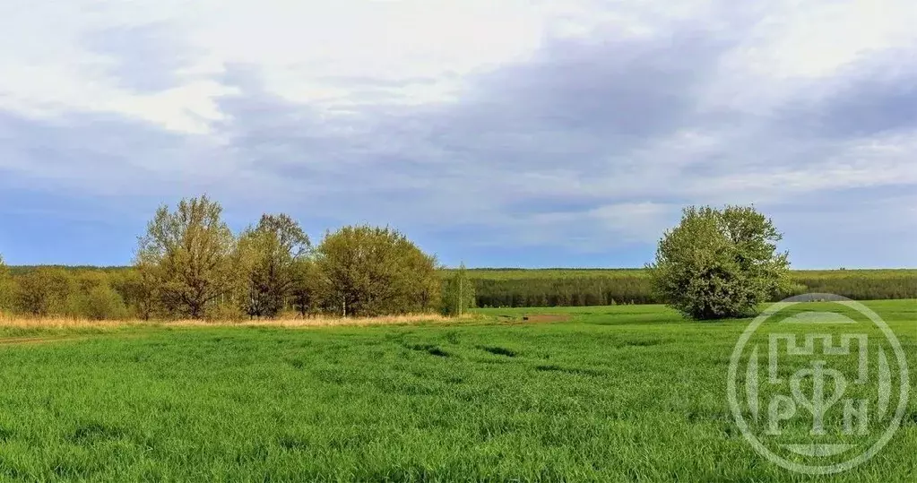 Участок в Ленинградская область, Ломоносовский район, Лопухинское ... - Фото 1