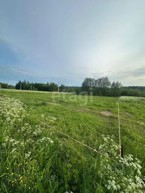 Участок в Вологодская область, Шекснинский муниципальный округ, д. ... - Фото 1