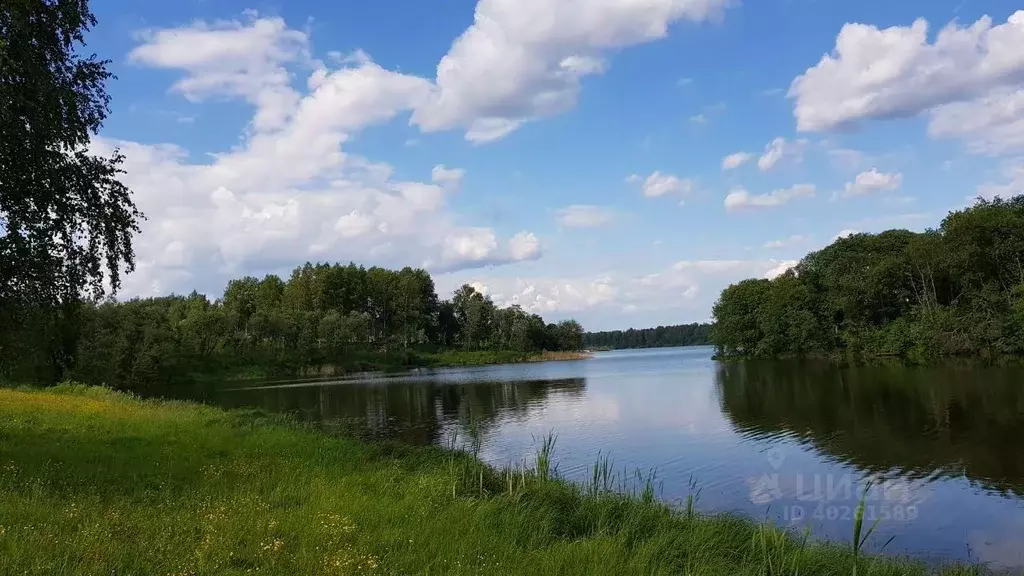 Участок в Кемеровская область, Киселевский городской округ, с. ... - Фото 0