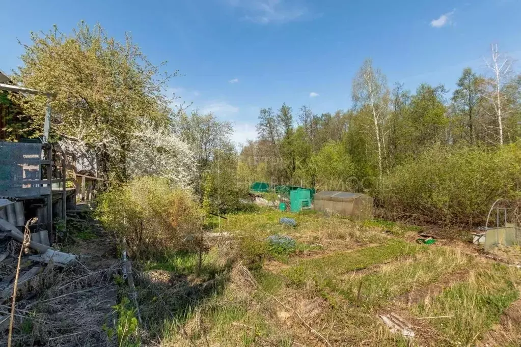 Участок в Тюменская область, Тюмень СОСН Мичуринец тер., 160 (4.0 ... - Фото 1