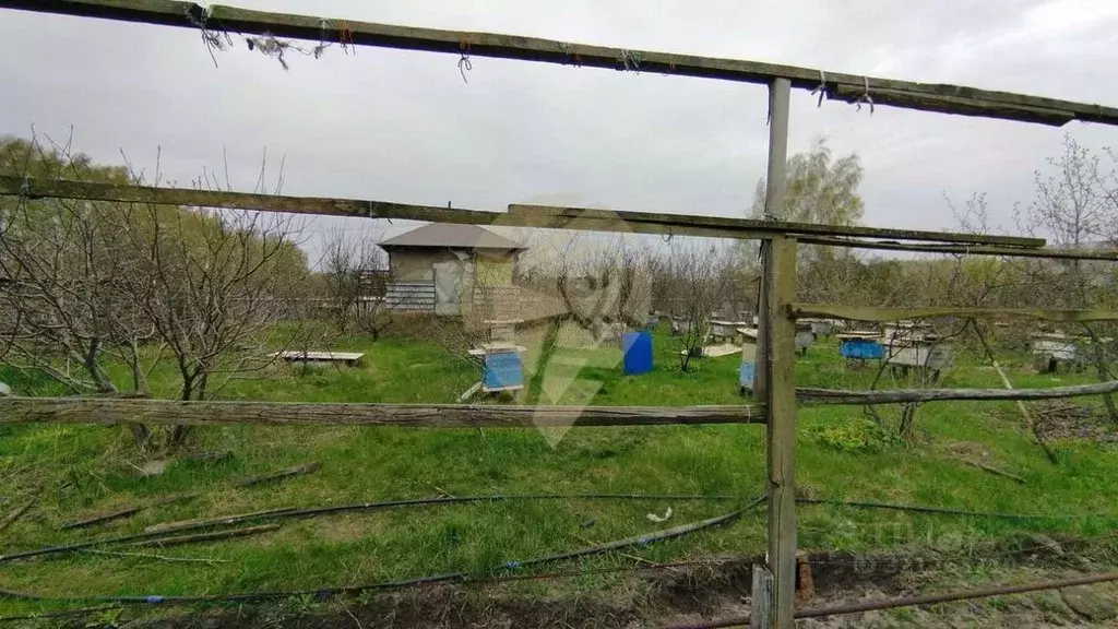 Участок в Белгородская область, Старый Оскол Залесье СНТ,  (20.0 сот.) - Фото 1