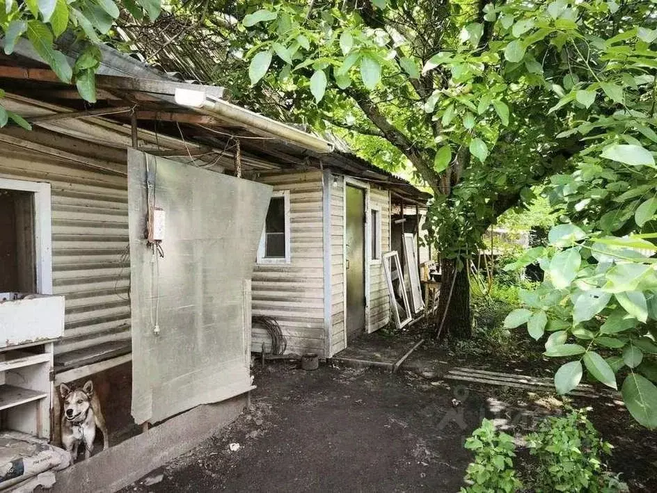 Дом в Белгородская область, Белгородский район, Северный городское ... - Фото 0