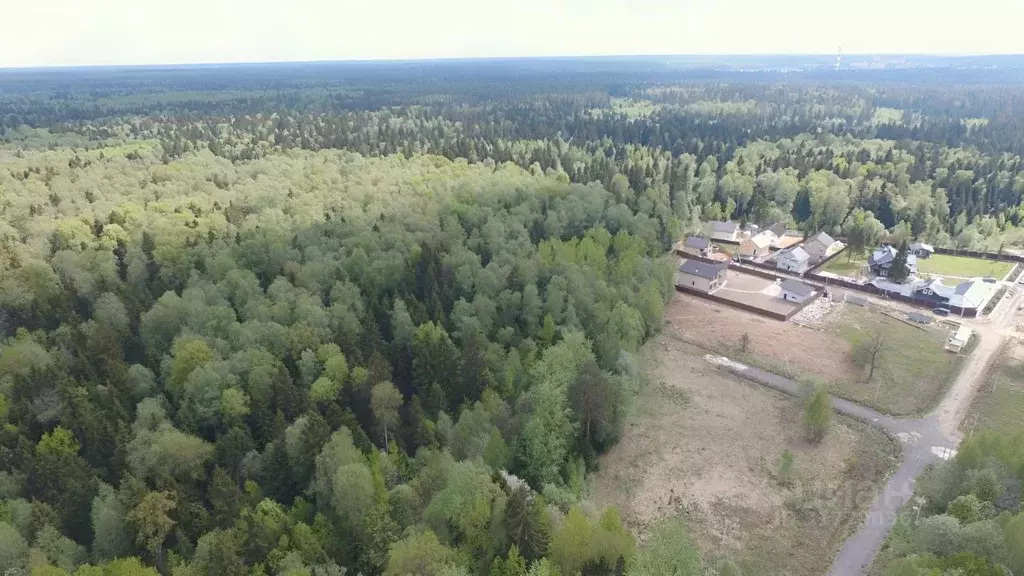 Участок в Московская область, Пушкинский городской округ, ... - Фото 0