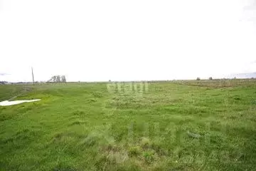 Участок в Башкортостан, Мелеузовский район, Корнеевский сельсовет, д. ... - Фото 1