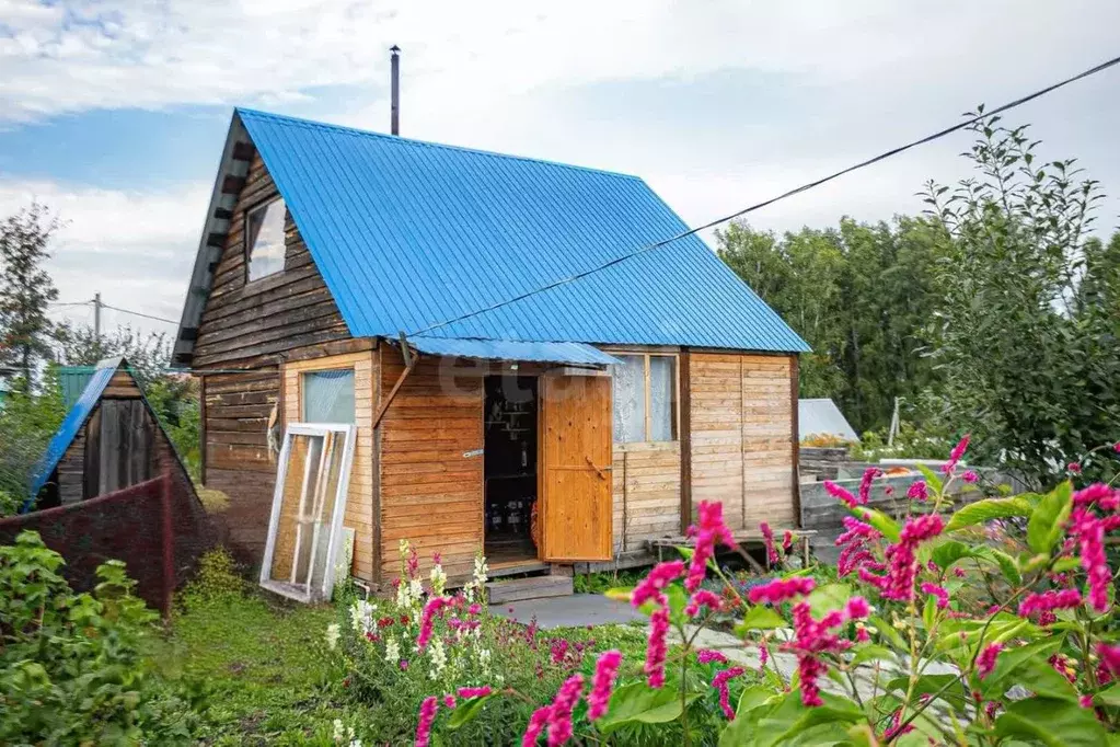 Дом в Новосибирская область, Бердск Ива СНТ, ул. 21-я, 8 (40 м) - Фото 1