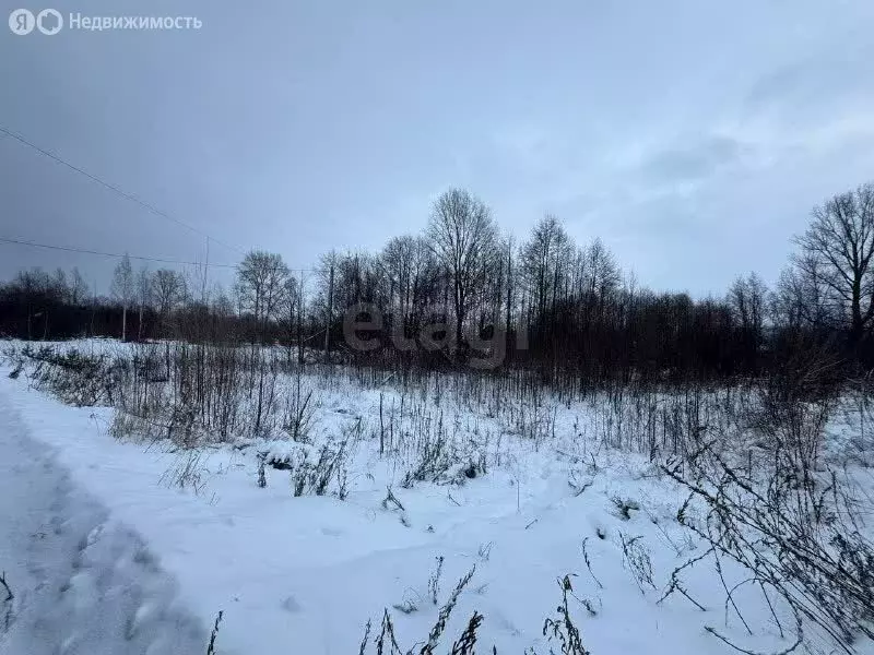 Участок в Звениговский район, Кокшайское сельское поселение, село ... - Фото 2