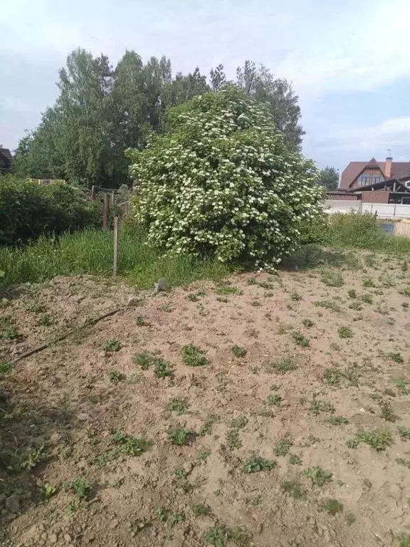 Участок в Иркутская область, Усолье-Сибирское Ольха СНТ,  (7.21 сот.) - Фото 2