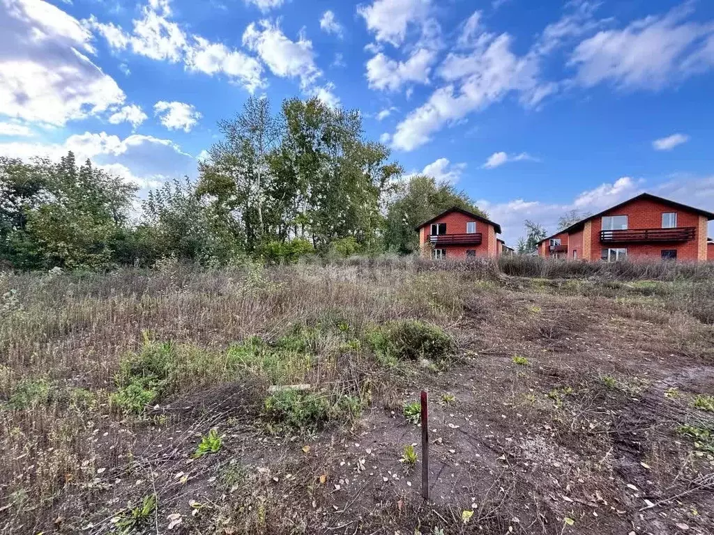 Участок в Новосибирская область, Новосибирский район, Морской ... - Фото 1