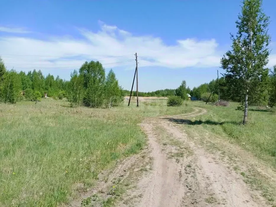 Участок в Новосибирская область, Новосибирск Золотая осень садовое ... - Фото 2