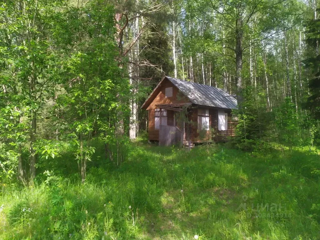 Участок в Владимирская область, Киржачский район, Першинское ... - Фото 0