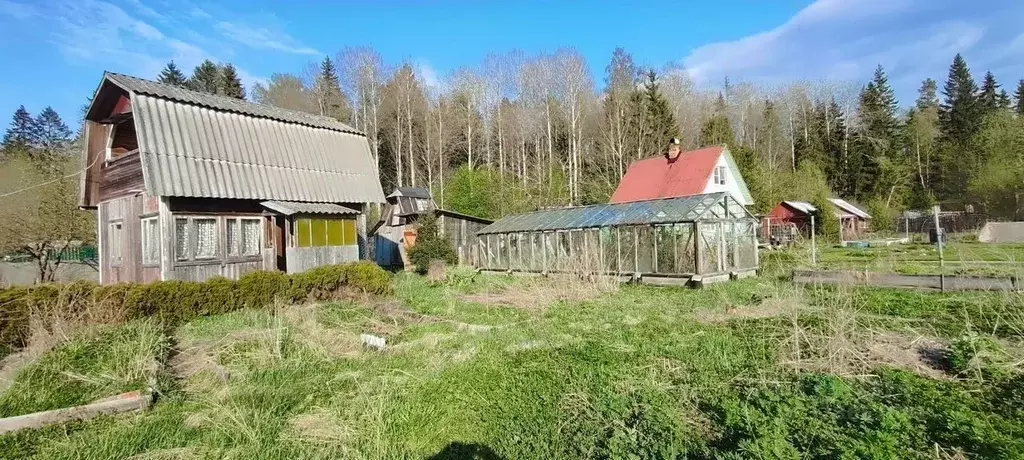 Дом в Ленинградская область, Выборгский район, Советское городское ... - Фото 2