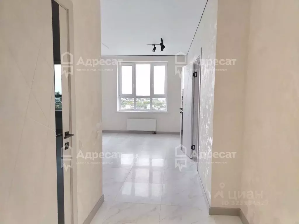 2-к кв. Волгоградская область, Волгоград ул. Грибанова, 1 (36.4 м) - Фото 1