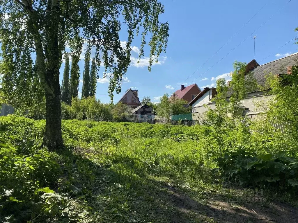 Погода в сафроново ступинского