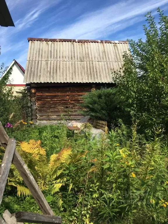 Дом в Ульяновская область, Чердаклинский район, Мирновское с/пос, ... - Фото 1